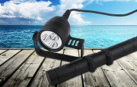 Goodman Cannister 3000Lumen
